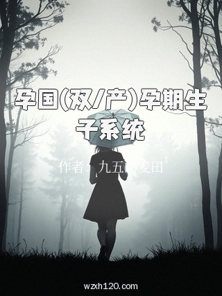 孕国(双/产)孕期生子系统