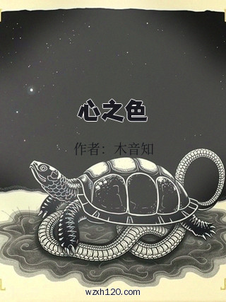 心之色