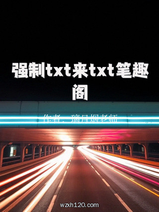 强制txt来txt笔趣阁