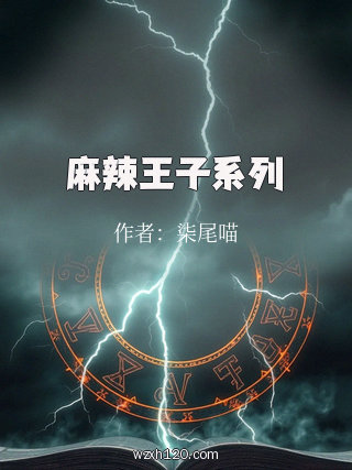 麻辣王子系列