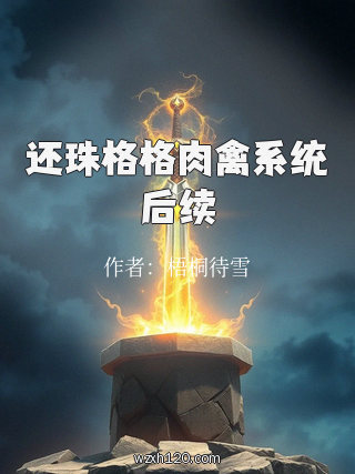 还珠格格肉禽系统后续