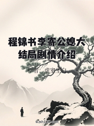 程锦书李寄公媳大结局剧情介绍