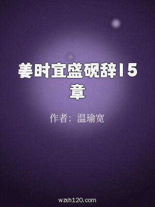 姜时宜盛砚辞15章