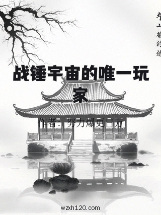 战锤宇宙的唯一玩家