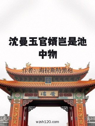 沈曼玉官婿岂是池中物