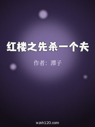 红楼之先杀一个夫