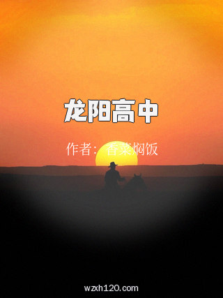 龙阳高中