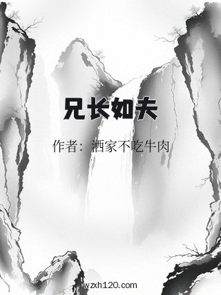 兄长如夫