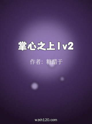 掌心之上1v2
