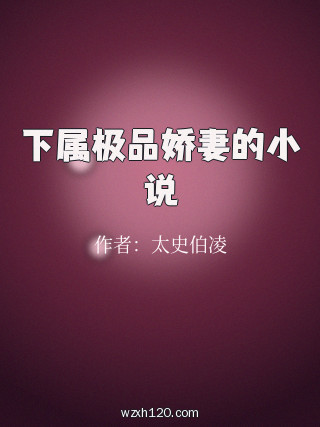 下属极品娇妻的小说