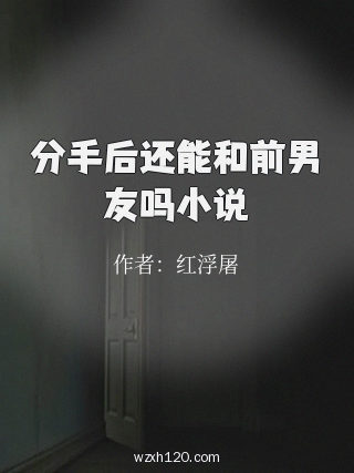 分手后还能和前男友吗小说