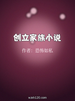 创立家族小说