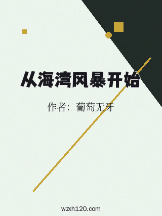 从海湾风暴开始