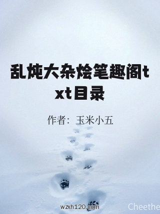 乱炖大杂烩笔趣阁txt目录