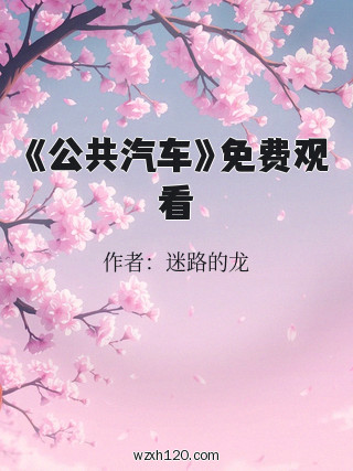 《公共汽车》免费观看