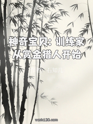 神奇宝贝:训练家从赏金猎人开始