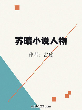 苏晴小说人物