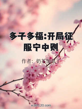 多子多福:开局征服宁中则