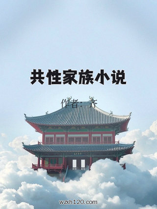 共性家族小说