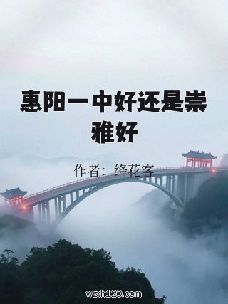 惠阳一中好还是崇雅好