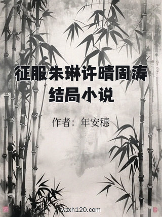 征服朱琳许晴周涛结局小说