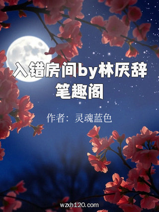 入错房间by林厌辞笔趣阁