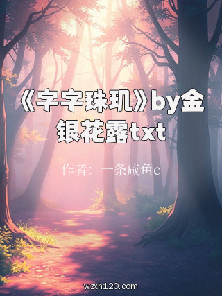 《字字珠玑》by金银花露txt