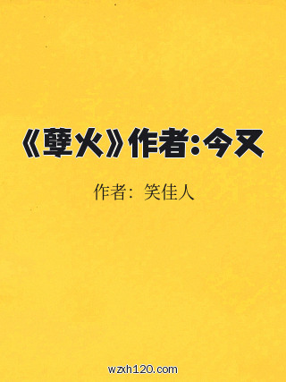 《孽火》作者:今又