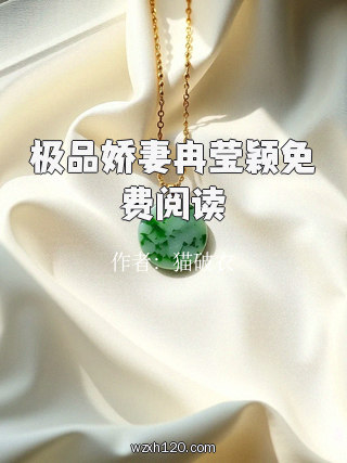 极品娇妻冉莹颖免费阅读
