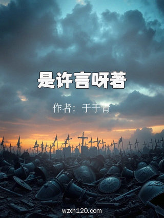 是许言呀著