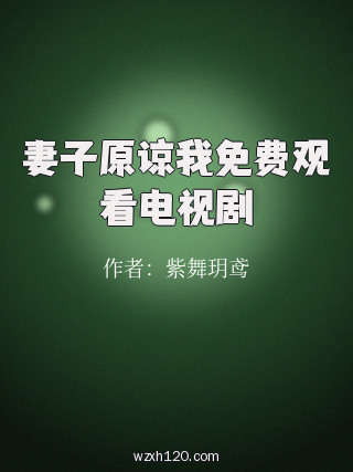妻子原谅我免费观看电视剧