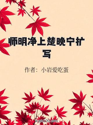 师明净上楚晚宁扩写