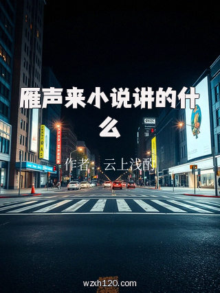 雁声来小说讲的什么