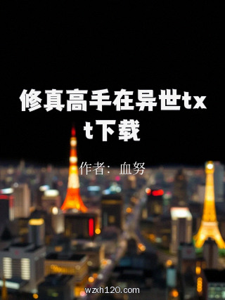 修真高手在异世txt下载