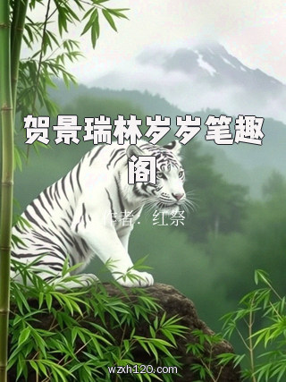 贺景瑞林岁岁笔趣阁