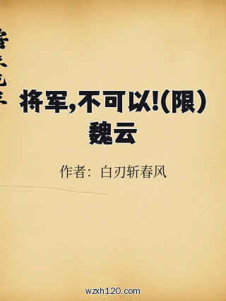 将军,不可以!(限)魏云