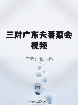 三对广东夫妻聚会视频