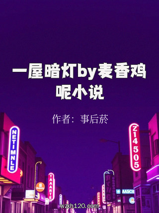 一屋暗灯by麦香鸡呢小说