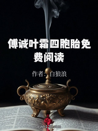 傅诚叶霜四胞胎免费阅读