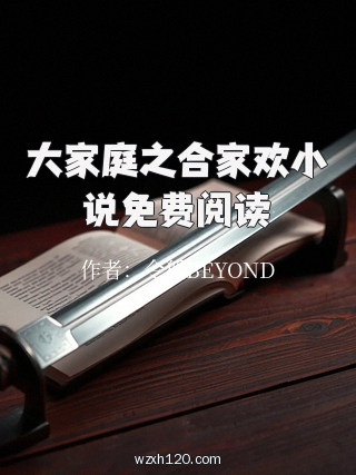 大家庭之合家欢小说免费阅读