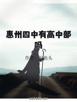惠州四中有高中部吗