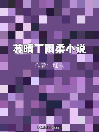 苏晴丁雨柔小说