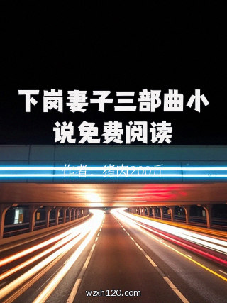 下岗妻子三部曲小说免费阅读