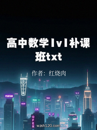 高中数学1v1补课班txt