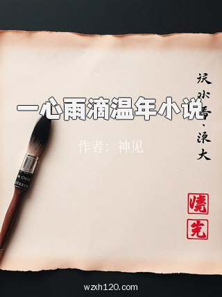 一心雨滴温年小说