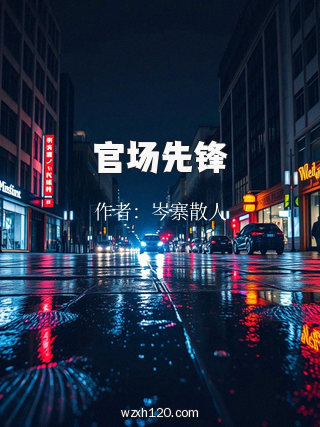 官场先锋