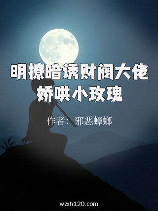 明撩暗诱财阀大佬娇哄小玫瑰