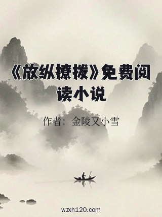 《放纵撩拨》免费阅读小说