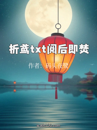 折鸢txt阅后即焚