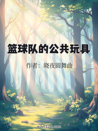 篮球队的公共玩具